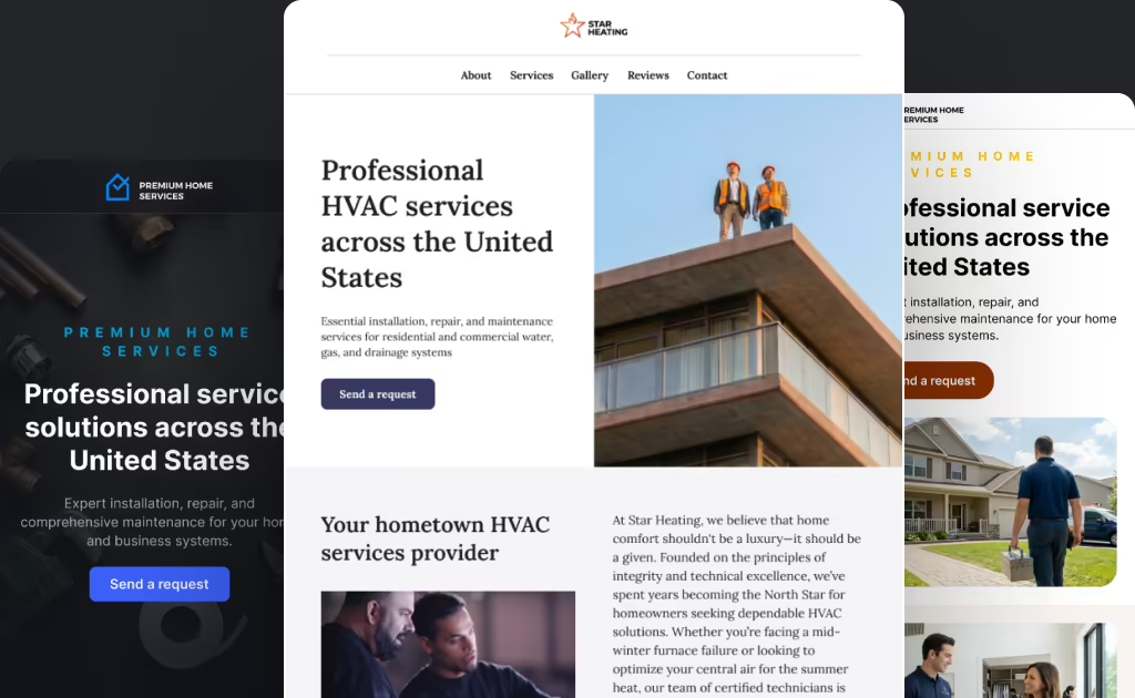 Professional website