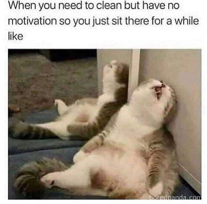 33 Cleaning Memes Jokes The Ultimate 2020 Meme Collection