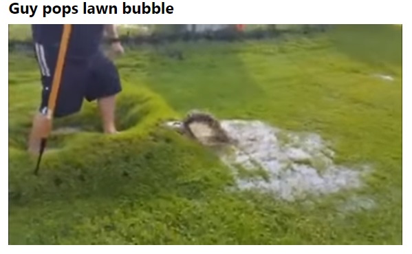 Lawn care memes FieldVibe field service management software