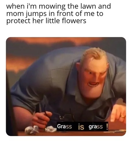 The best Grass memes :) Memedroid