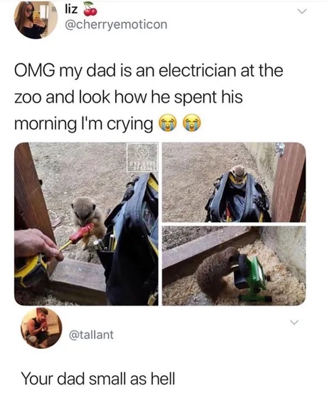 Electrician memes, funny electrician memes, bad electrician memes, electrician memes funny