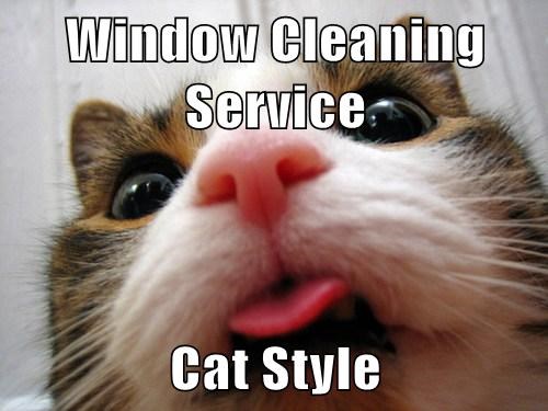 Cleaning memes FieldVibe field service management software